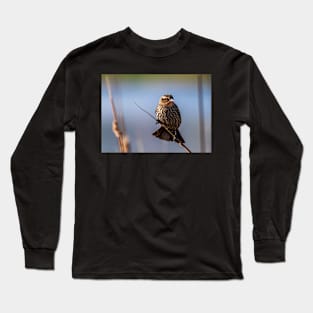 Female Blackbird on a Branch Long Sleeve T-Shirt